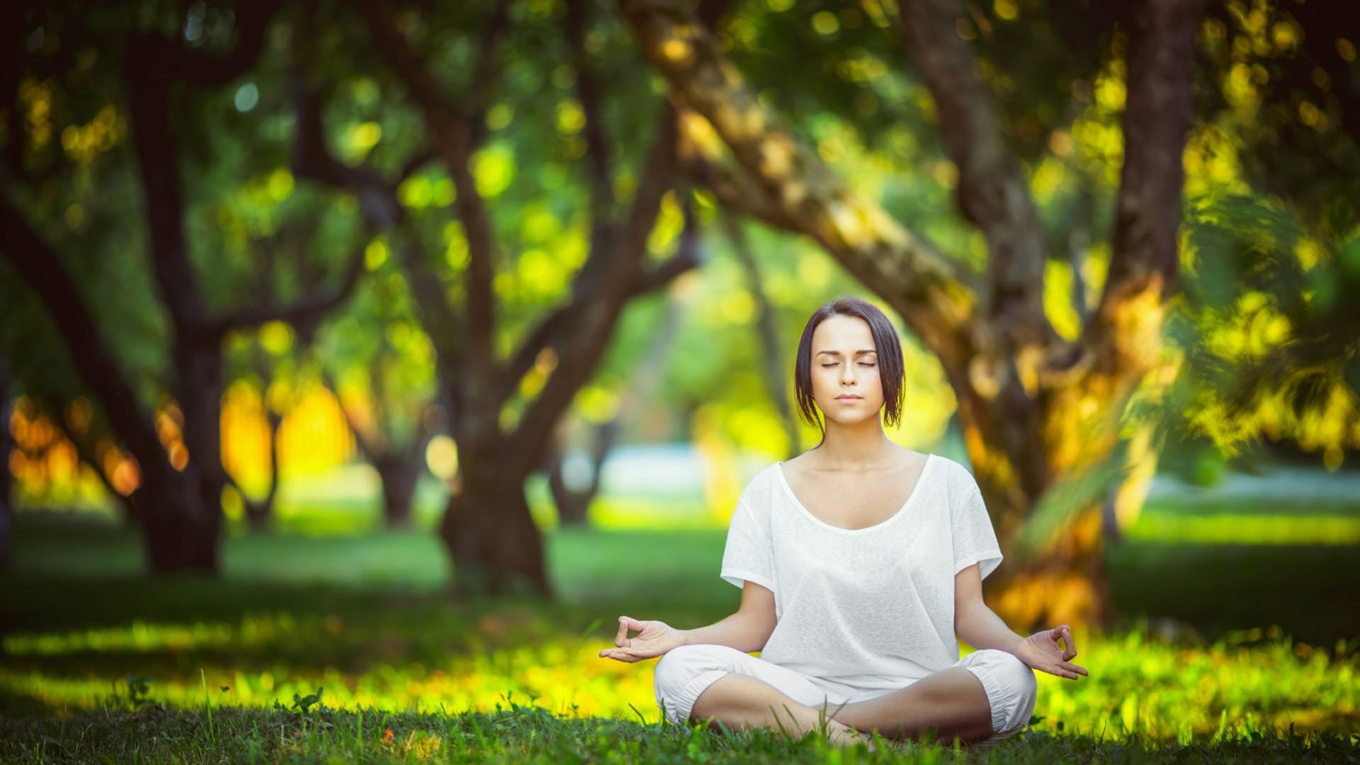 逆流而上，当波兰的铁壁遇上德国的锋刃，哈基米如何用速度改写2026世界杯剧本